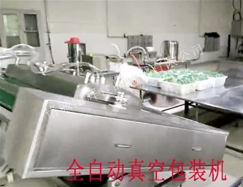 河南全自動真空包裝機