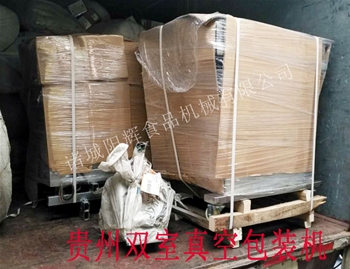 貴州雙室真空包裝機