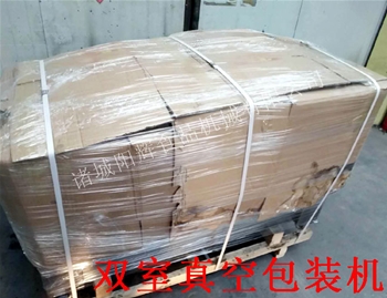 寧夏雙室真空包裝機