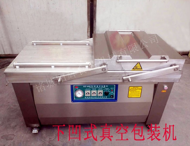 內蒙食品真空包裝機