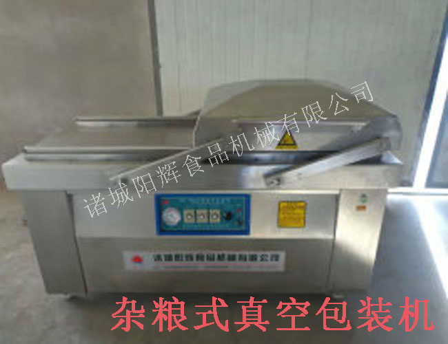 800雙室連續真空包裝機