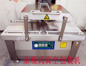 600雙室連續真空包裝機