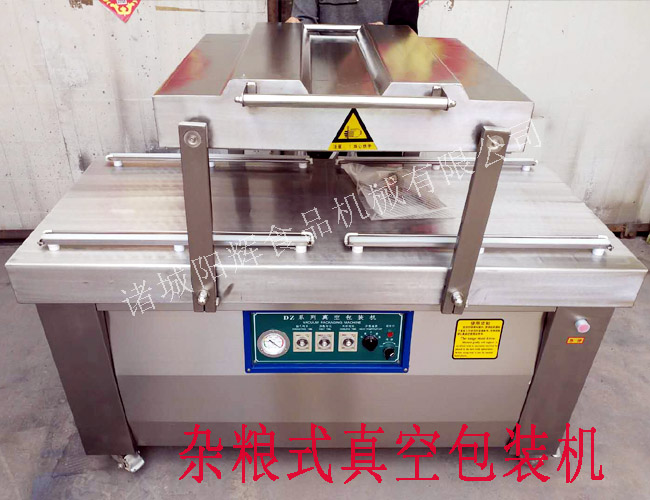 600雙室連續真空包裝機