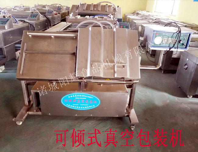 600雙室傾斜真空包裝機