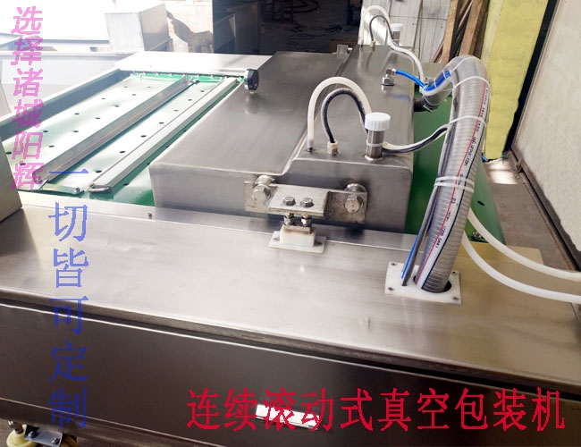 1000連續真空包裝機